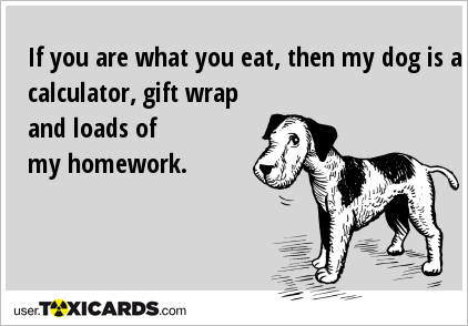 If you are what you eat, then my dog is a calculator, gift wrap and loads of my homework.