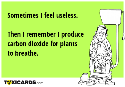 Sometimes I feel useless. Then I remember I produce carbon dioxide for plants to breathe.