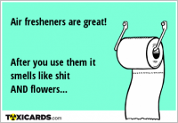 Air fresheners are great! After you use them it smells like shit AND flowers...