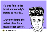 If a tree falls in the forest and nobody's around to hear it... ...have we found the perfect place for a Justin Bieber concert?