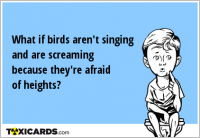 What if birds aren't singing and are screaming because they're afraid of heights?