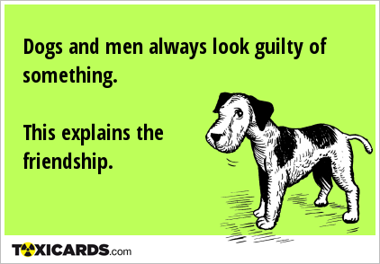 Dogs and men always look guilty of something. This explains the friendship.