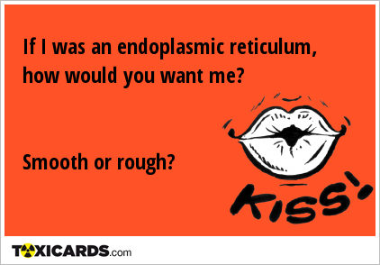 If I was an endoplasmic reticulum, how would you want me? Smooth or rough?