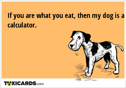 If you are what you eat, then my dog is a calculator.