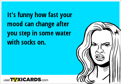 It's funny how fast your mood can change after you step in some water with socks on.