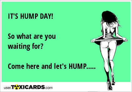 IT'S HUMP DAY! So what are you waiting for? Come here and let's HUMP.....
