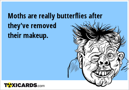 Moths are really butterflies after they've removed their makeup.