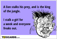 A lion stalks his prey, and is the king of the jungle. I stalk a girl for a week and everyone freaks out.