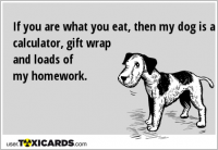 If you are what you eat, then my dog is a calculator, gift wrap and loads of my homework.
