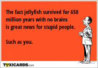 The fact jellyfish survived for 650 million years with no brains is great news for stupid people. Such as you.