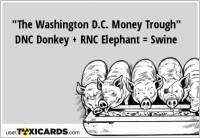 "The Washington D.C. Money Trough" DNC Donkey + RNC Elephant = Swine
