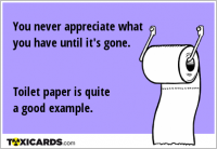 You never appreciate what you have until it's gone. Toilet paper is quite a good example.