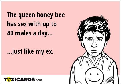 The queen honey bee has sex with up to 40 males a day... ...just like my ex.