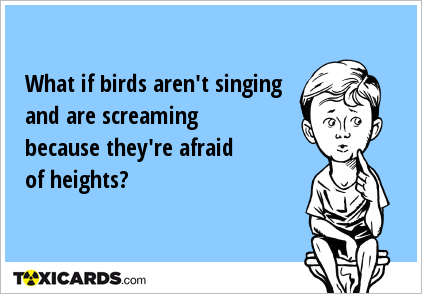What if birds aren't singing and are screaming because they're afraid of heights?
